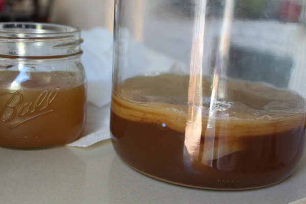 make kombucha at home