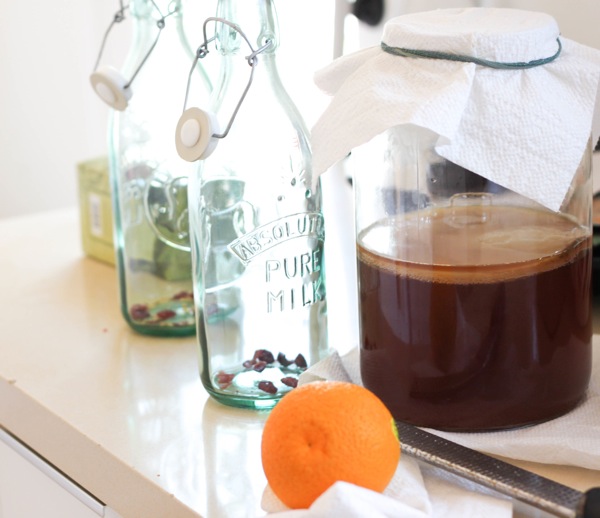 fermenting homemade kombucha